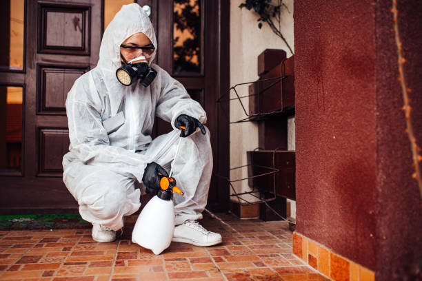 Reliable Cockroach Control contractor in Hubbard, TX by Nex Pest Control